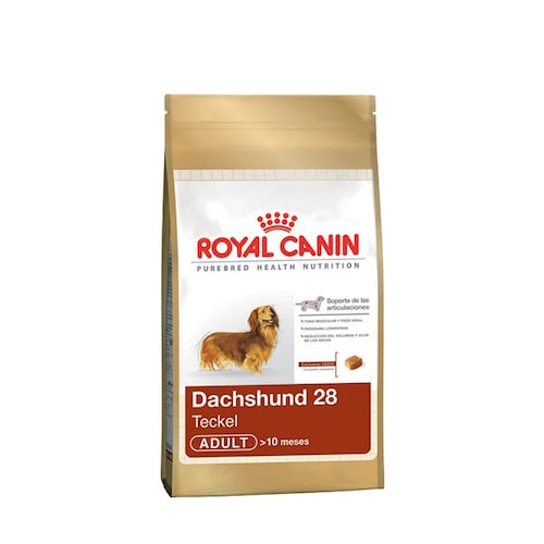 Royal Canin Alimento para Perro Dachshund 4.5 Kg