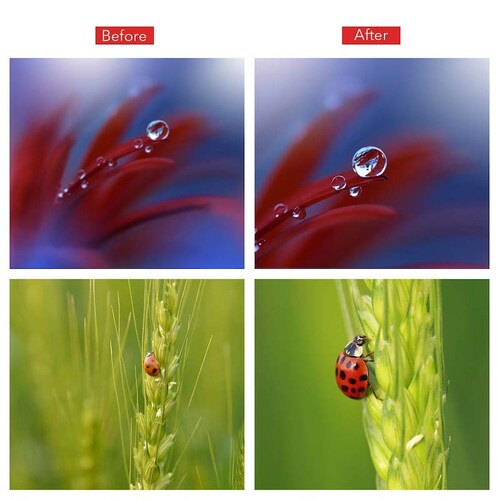 Lente HD Macro 10X para Smartphone Calidad Premium 