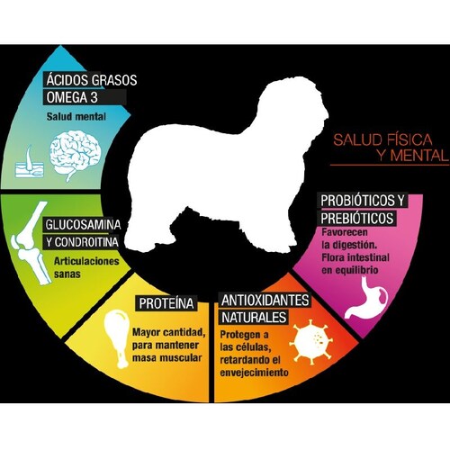 8kg Alimento Croquetas Perro Perfect Sense Senior 7 Años