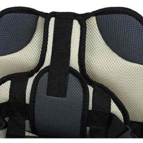 Autoasiento Bebe Silla Carro Auto Asientos Booster Arnes Carro Color Gris