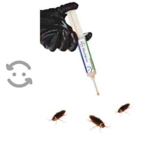 24 Piezas Max Force De Bayer Jeringa 30 gr Cebo Para Cucaracha Modelo MFBJ-024