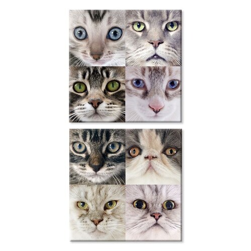 Cuadros Decorativos Collage Gatos MobileCity Set 2 piezas 30 x 30