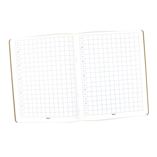 Cuaderno Profesional Cuadro Aleman Cosido Rayter 100h 6541