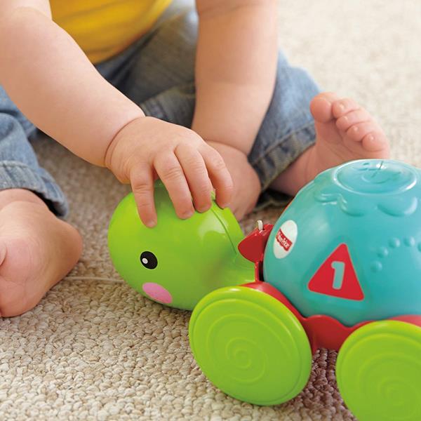 Tortuga de discount aprendizaje fisher price