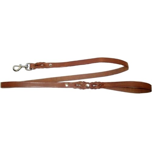 Correa de paseo, piel 2cmx1.8m para perro.
