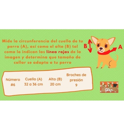 Collar Isabelino Q´kn #6 para Perro