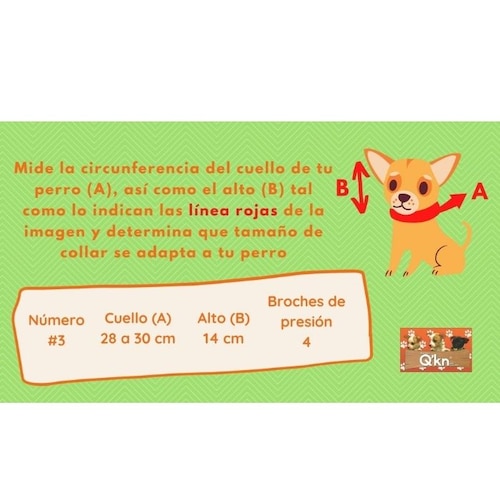 Collar Isabelino Q´kn #3 para Perro