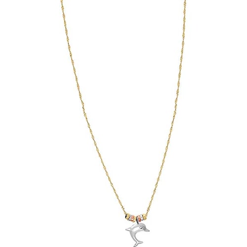 Cadena Con Aros Con Delfin 10 K 