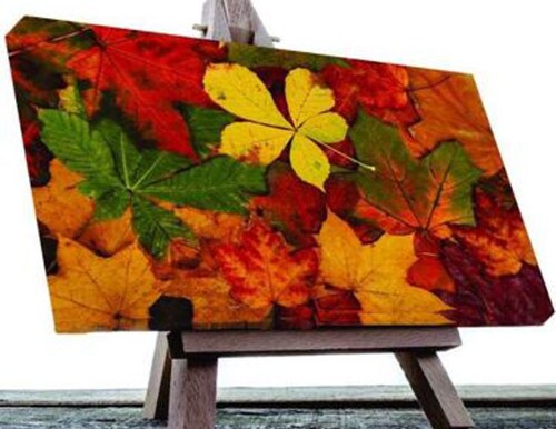 Cuadro canvas, Hojas Otoño