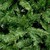 Arbol De Navidad 1.60 m Calidad Premium Pino Artificial Follaje  Frondoso Verde 