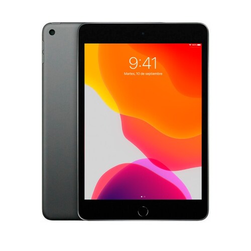 iPad Mini 5ta Gen (Space Gray) / Wifi + Cellular