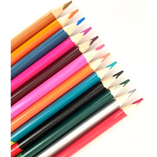 Caja Con 12 Lápices De Colores Bicolor 24 Tonos 18 Cm