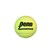 Caja Pelotas de Tennis Penn 1 c/ 36 pelotas