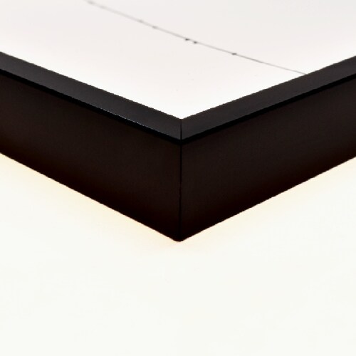 Elegante  Cuadro De Flor 16x20 pulgadas