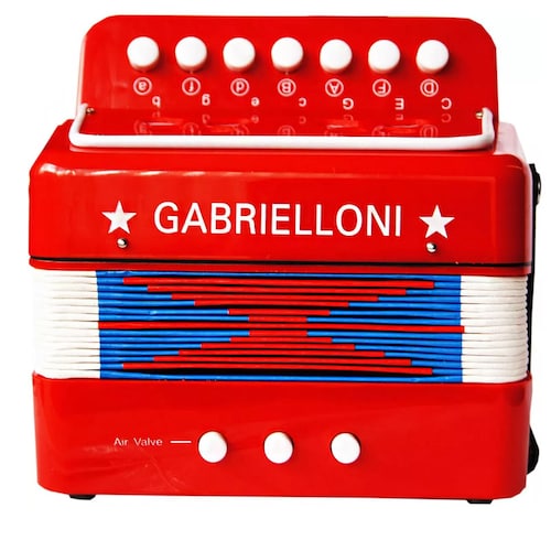 Acordeon Profesional De 9 Botones Agudos Y Graves Con Fuelle