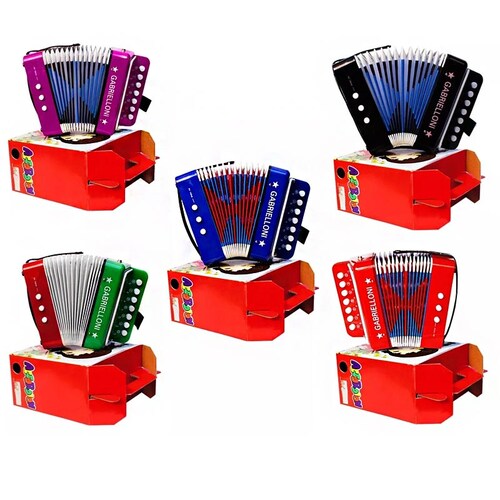 Acordeon Profesional De 9 Botones Agudos Y Graves Con Fuelle