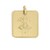 Medalla Cuadrada Virgen Juquila en Oro Amarillo de 14 K + Obsequio