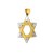 Dije Estrella de David en Dos Oros con Textura en Oro Amarillo de 14 K + Obsequio