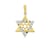 Dije de 2 Estrellas de David con Circonias en Oro Amarillo de 14 K + Obsequio