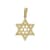 Dije de 2 Estrellas de David con Circonias en Oro Amarillo de 14 K + Obsequio
