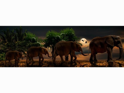 Cuadro Decorativo Canvas Familia de Elefantes