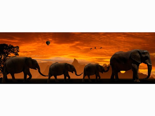 Cuadro Decorativo Canvas Elefantes Atardecer