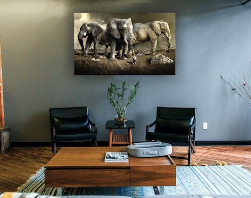 Cuadro Decorativo Canvas Elefantes