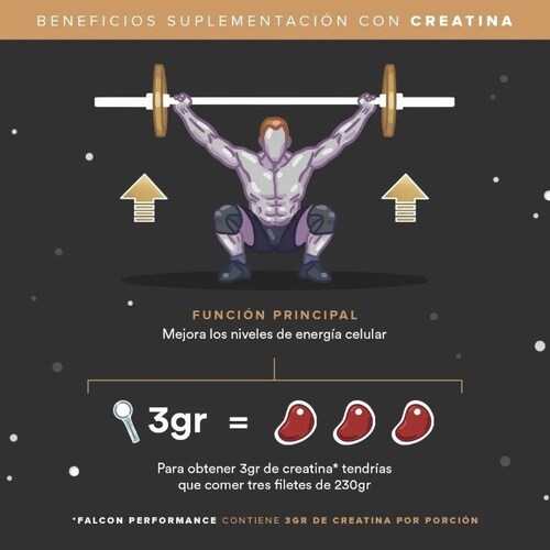 VAINILLA Proteina Vegetal Birdman Falcon Performance Premium 1.140 Kg