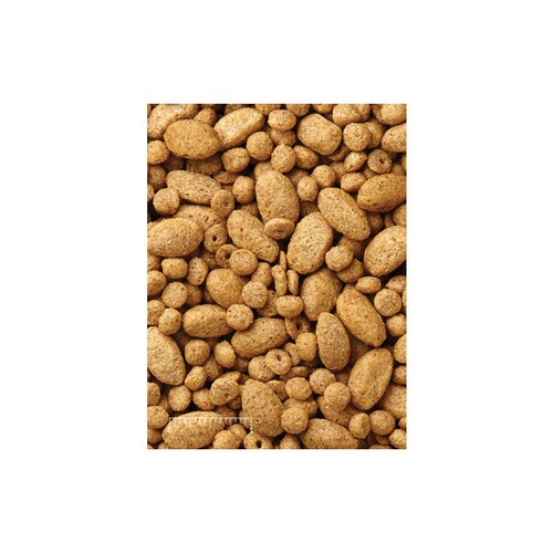 Mazuri Large Bird Diet Alimento Loro Guacamaya 650 Grs