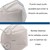 Cubrebocas KN95 Color Blanco Con 5 Capas De Protección Con Válvula