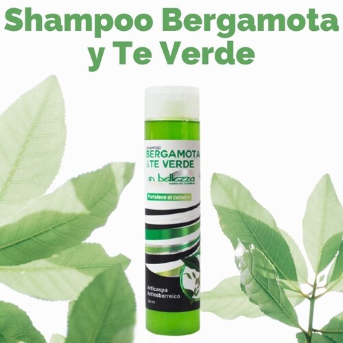 Shampoo Bergamota Crecimiento Cabello Alopecia Anti Caída