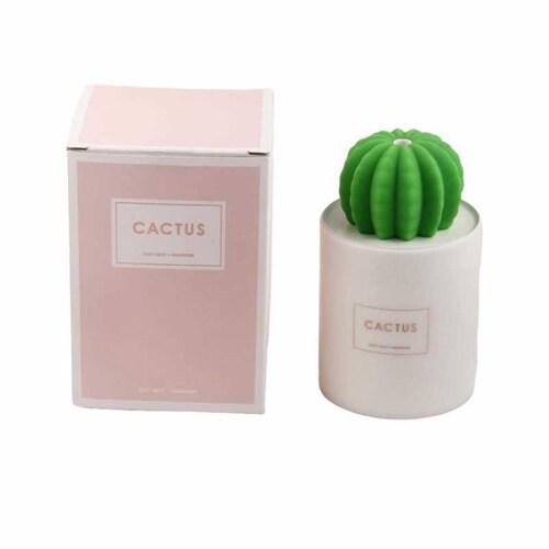 Humidificador Cactus Gadgets & fun con  lampara led integrada Difusor ideal para aromaterapia con lampara Led ultra silencioso 