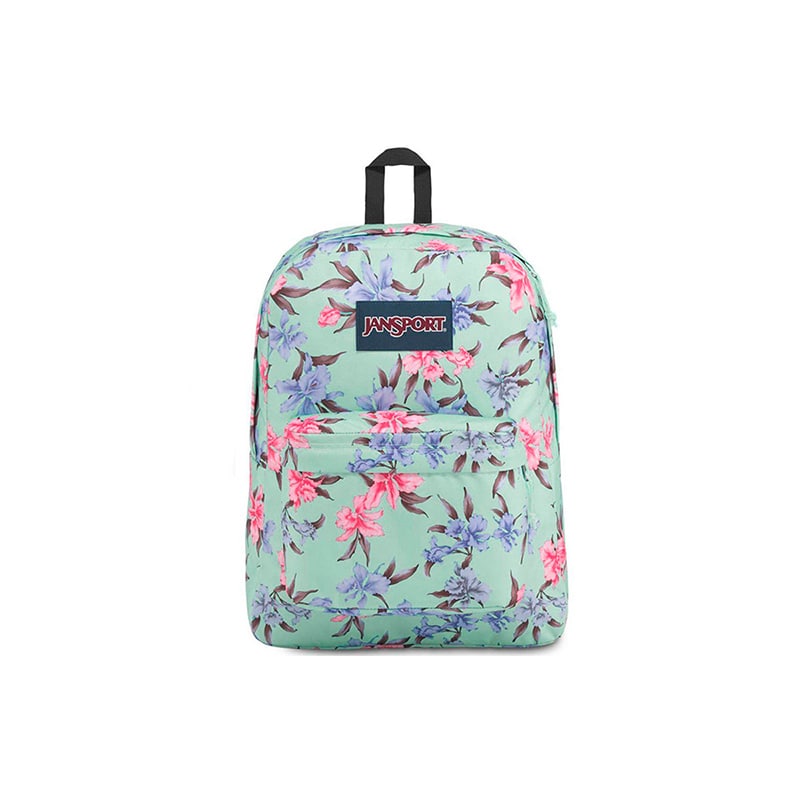 Sears jansport 2025