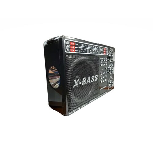 Grabadora con Linterna Akustic AK-2034ULN Negro Puerto Usb X-Bass 