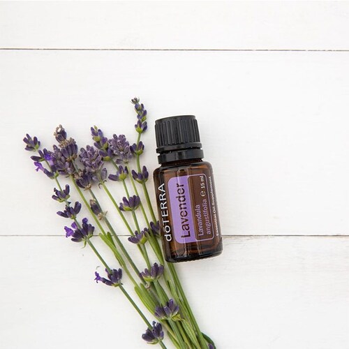 Aceite esencial de lavanda doterra 15ml 