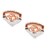 Aretes Cristal Swarovski Circulares Ambar Baño Rodio Farcelli Jewelry INCLUYE CAJA PARA REGALO