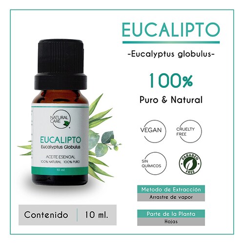 Aceite Esencial De Eucalipto 100% Natural, 100% Puro