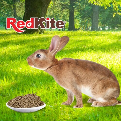 Redkite Alimento Para Conejo 1 Kg
