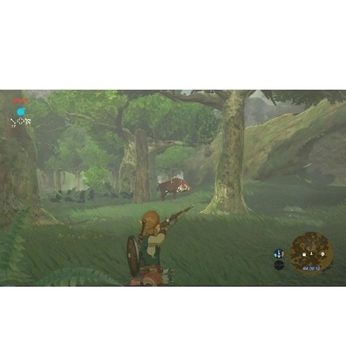 Nintendo Switch The Legend of Zelda: Breath of the Wild Standard Edition