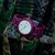Reloj Alebrije by Tonas Wood Unisex Color Morado Boreas