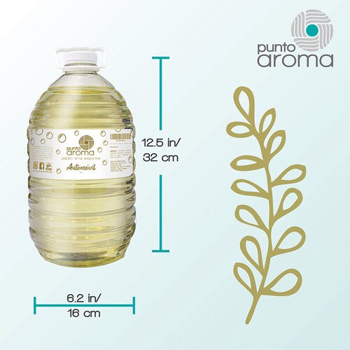 Punto Aroma - Shampoo para autos biodegradable - Jabón líquido con aroma a coche nuevo