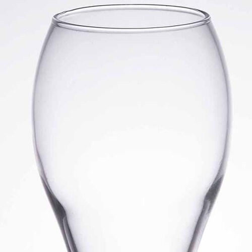 Copa De Champagne Tulip, Citation Gourmet 9 Oz . Juego de 12 Piezas
