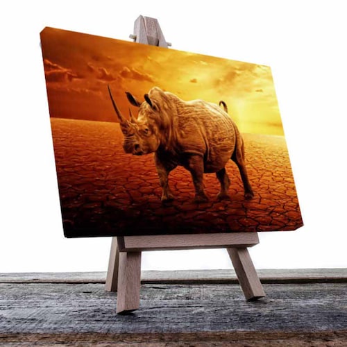 Cuadro Decorativo Canvas Rinocerontes fantasía