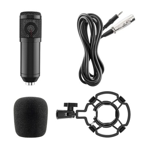 Micrófono profesional de condensador con filtro y suspensión / MIC-650