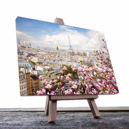 Cuadro Decorativo Canvas Hermosa Vista de Paris
