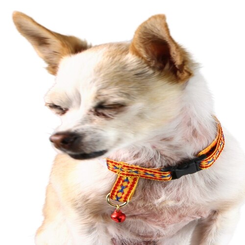 Collar con grecas color Amarillo para mascotas marca El Rebozo de Dolce