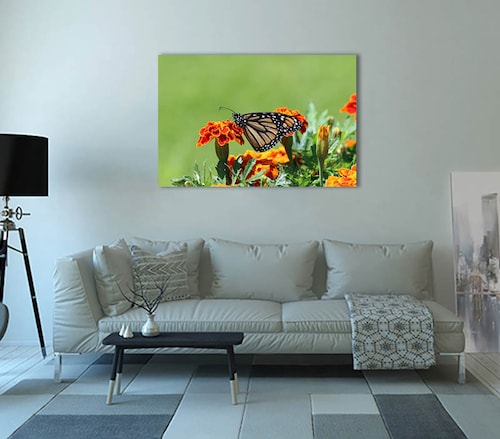 Cuadro Decorativo Canvas Mariposa Posada en Flor