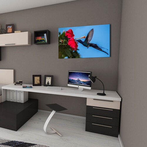 Cuadro Decorativo Canvas Colibrí Azul.