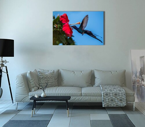 Cuadro Decorativo Canvas Colibrí Azul.