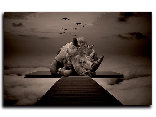 Cuadro Decorativo Canvas Rinoceronte en las nubes